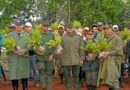 Autoridades plantan unos 5,000 árboles de pino en Monseñor Nouel 