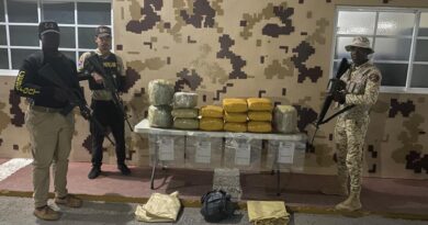 Decomisan en Pedernales 135 libras de un vegetal que se presume es marihuana