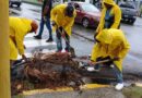Alcaldía DN realiza trabajos preventivos de limpieza para mitigar efectos de fuertes lluvias