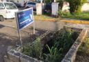 Solicitan intervención urgente de autoridades en residencial Villa Progreso del Este
