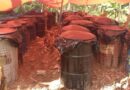 Autoridades desmantela fábrica clandestina de alcohol adulterado en Santiago