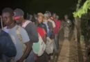 Interceptan 30 haitianos indocumentados en zona rural de Montecristi 