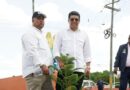 Alcaldía de SDE inicia jornada de siembra de 40 mil árboles