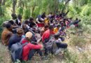 Detienen otro grupo de 50 haitianos indocumentados en Valverde