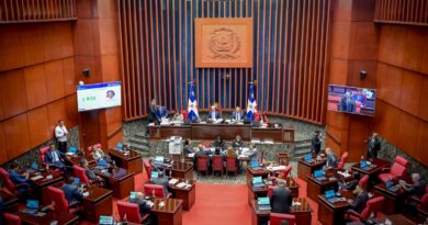 Senado aprueba en primera lectura proyecto de ley orgánica que crea el DNI