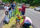 Alcaldía del DN planta 140 árboles en la avenida Paseo de los Reyes Católicos