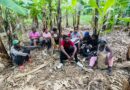 Detienen 11 haitianos indocumentados en una finca en Valverde