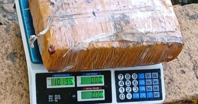 Decomisan más de 20 libras de presunta marihuana en Las Matas de Farfán