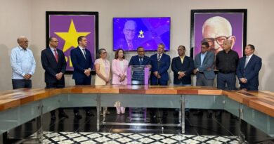 PLD denuncia el desplome del sector construcción