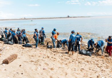 Entidades realizan jornada de limpieza en playa Montesinos tras lluvias Entidades realizan jornada de limpieza en playa Montesinos tras lluvias