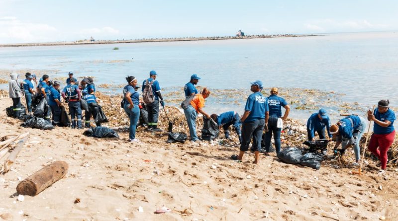 Entidades realizan jornada de limpieza en playa Montesinos tras lluvias Entidades realizan jornada de limpieza en playa Montesinos tras lluvias