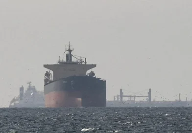 La Comisión Europea se opone a que los barcos tengan que pagar para atravesar Ormuz La Comisión Europea se opone a que los barcos tengan que pagar para atravesar Ormuz