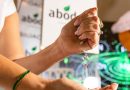 Lanzan nueva tecnología de fertilizantes para optimizar nutrición de cultivos