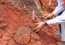 Minería lidera crecimiento económico de RD con expansión de 10.7 %, informa Joel Santos