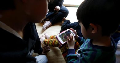 La ONU: La regulación por edad del acceso de niños a plataformas en línea es insuficiente