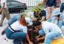 Alcaldía DN celebra Día del Medio Ambiente con siembra de árboles y limpieza de Güibia