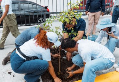 Alcaldía DN celebra Día del Medio Ambiente con siembra de árboles y limpieza de Güibia