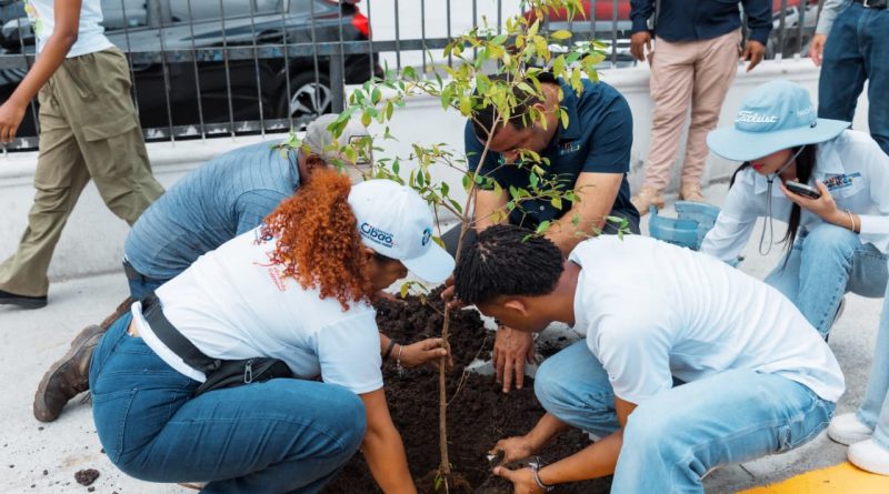 Alcaldía DN celebra Día del Medio Ambiente con siembra de árboles y limpieza de Güibia