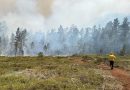 Brigadas mantienen combate contra frente activo del incendio en Sierra de Bahoruco