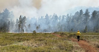 Brigadas mantienen combate contra frente activo del incendio en Sierra de Bahoruco