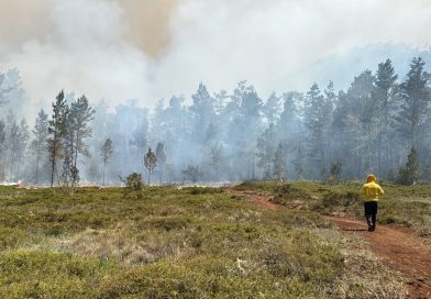 Brigadas mantienen combate contra frente activo del incendio en Sierra de Bahoruco
