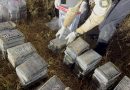DNCD ocupa 237 paquetes de presunta cocaína y arresta a tres hombres en Santo Domingo DNCD ocupa 237 paquetes de presunta cocaína y arresta a tres hombres en Santo Domingo
