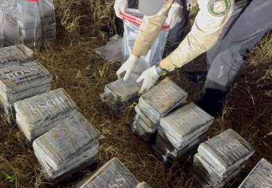 DNCD ocupa 237 paquetes de presunta cocaína y arresta a tres hombres en Santo Domingo DNCD ocupa 237 paquetes de presunta cocaína y arresta a tres hombres en Santo Domingo