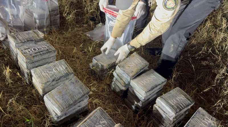 DNCD ocupa 237 paquetes de presunta cocaína y arresta a tres hombres en Santo Domingo DNCD ocupa 237 paquetes de presunta cocaína y arresta a tres hombres en Santo Domingo
