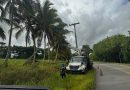 Edeeste atribuye avería en Higüey a ramas de árboles y cables de telecomunicaciones