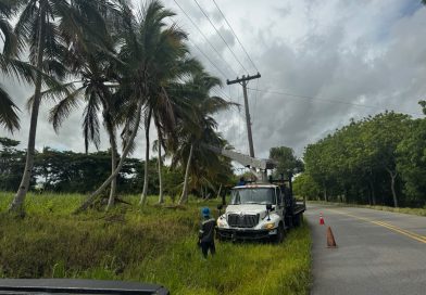 Edeeste atribuye avería en Higüey a ramas de árboles y cables de telecomunicaciones Edeeste atribuye avería en Higüey a ramas de árboles y cables de telecomunicaciones