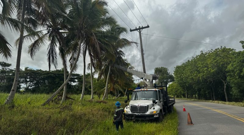 Edeeste atribuye avería en Higüey a ramas de árboles y cables de telecomunicaciones Edeeste atribuye avería en Higüey a ramas de árboles y cables de telecomunicaciones