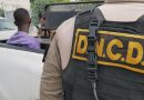 DNCD ocupa más de 5,000 gramos de drogas y detiene a 15 personas en Boca Chica