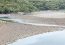 Evento extremo de El Niño causaría pérdida de al menos 2 % del PIB regional, según CEPAL