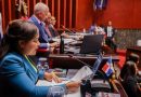Senado aprueba iniciativas sobre empleo, salud, energía y desarrollo provincial