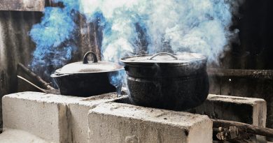 Gobierno sustituirá fogones de leña y carbón por estufas en hogares vulnerables