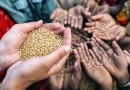 La ONU advierte que la inseguridad alimentaria podría afectar a 1,9 millones de hondureños