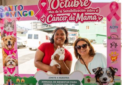 Más de 100 perros y gatos reciben atención veterinaria en jornada de la Alcaldía Más de 100 perros y gatos reciben atención veterinaria en jornada de la Alcaldía