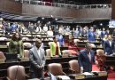 Cámara de Diputados sesionará en San Cristóbal por aniversario de la Constitución